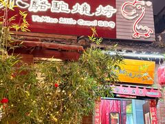 -福苗小骆驼烧烤(莲湖路店)