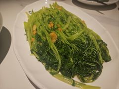 豆酱炒通菜-码头见·潮汕菜(领展中心城店)