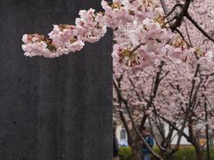 -静安雕塑公园