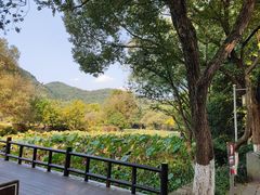 -八卦田遗址公园