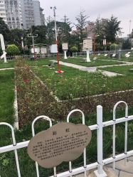 -北京科学中心儿童乐园