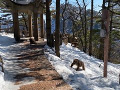 -黄山风景区