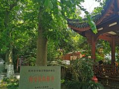 -杭州西湖风景名胜区-满觉陇四眼井