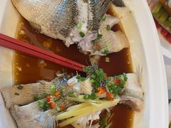 -眉州东坡(博雅店)