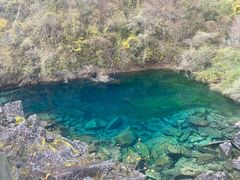 -叠溪松坪沟景区