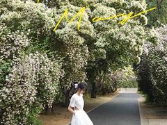 -国家植物园南园