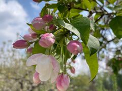 -野鸭湖国家湿地公园