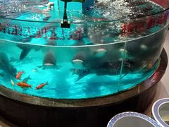 -魏铭鱼头捞饭(晋阳路店)