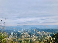 -贵州云顶草原民族风情园