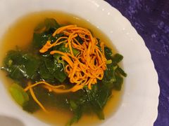 上汤豆苗-惠食佳·朱雀(东方商厦店)