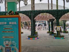 -海合安成都极地海洋公园
