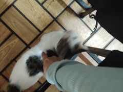 -正宗天津烧麦馆(柳州路店)