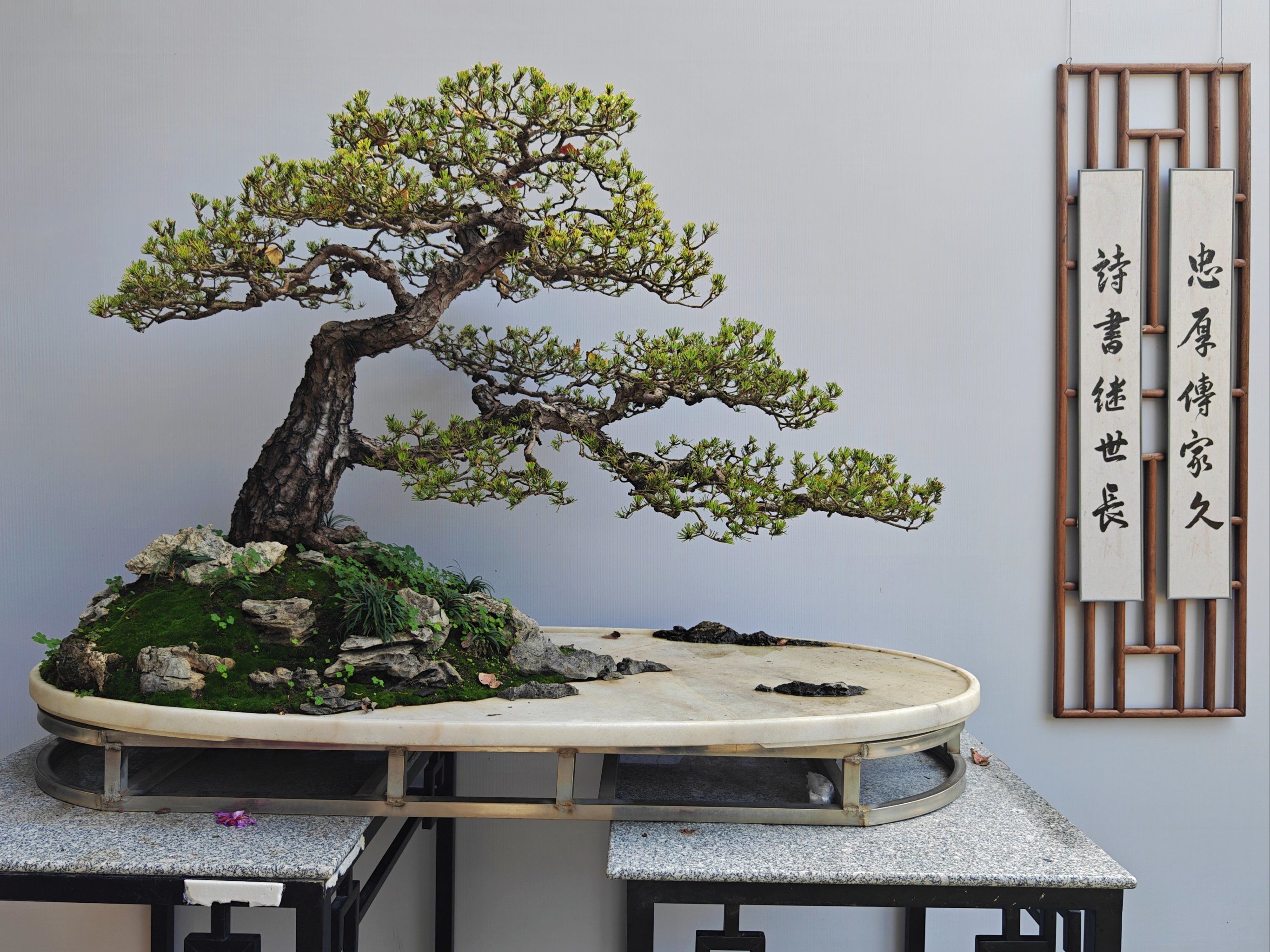 园林博览会盆景展