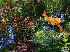 -上海共青森林公园