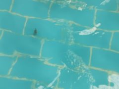 -天山海世界·米立方