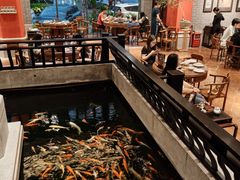 -龙悦湾酒家·八阵鱼生·渔人码头店
