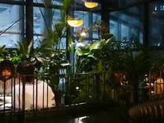 -大树餐厅(红旗街万达店)