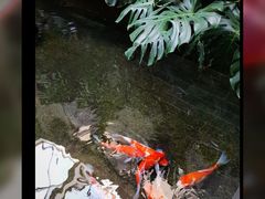 -福禧酒窖·中餐厅 (万柳店)