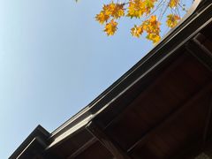 -星巴克臻选(思南公馆店)