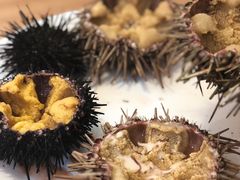 -海胆小馆(东北水饺·春柳店)