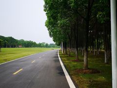 -艾溪湖湿地公园