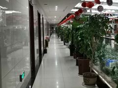 -君临七星生态酒店