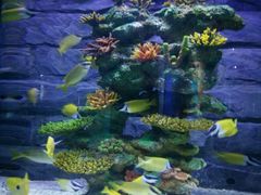 -水上乐园·欢乐世界