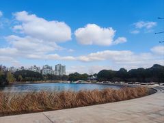 -新江湾城公园