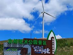 -草原天路(张北县)
