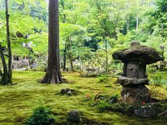 -三千院