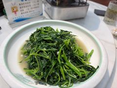 -小小饭店·休闲农庄·安吉松树林里的农家菜
