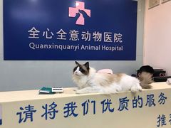 -全心全意连锁动物医院(加州店)