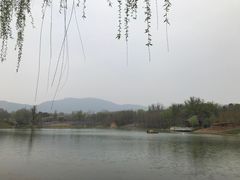-老磨油饼(高陵店)