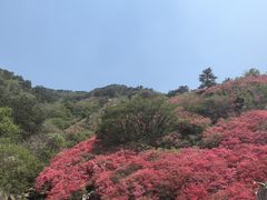 -木兰云雾山