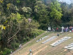 -龙坞茶村