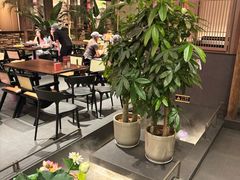 -单家老院·院子里的青岛菜(沙子口店)