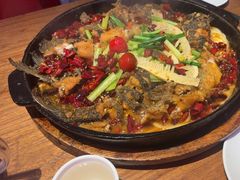 -老板恋上鱼(恒隆广场店)