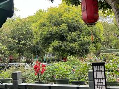 -阿巧茶庄