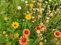 -永定河休闲森林公园