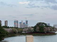 -顺峰山公园