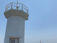 -涉地可支