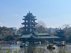 -桂湖森林公园