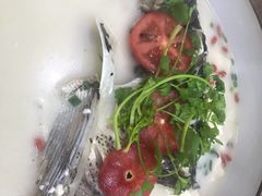 -全乐鱼馆·淳牌有机鱼直营店