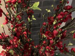 -迈格笙SPA·影院式足道·采耳(金桥店)