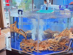 -天顺渔港·海景餐厅(星海广场店)