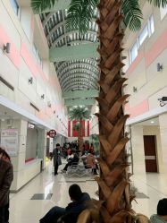 -复旦大学附属妇产科医院(杨浦院区)