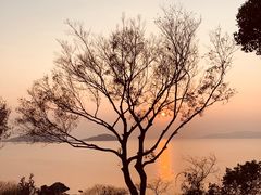 -上海市保健医疗中心(华东疗养院)