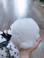 -防空洞舞蹈·瑜伽
