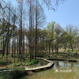春天来了就应该到处走走看看花花草草