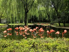 -石家庄市动物园